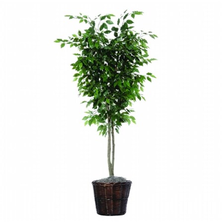 Vickerman 6 ft. Ficus Deluxe TDX0160
